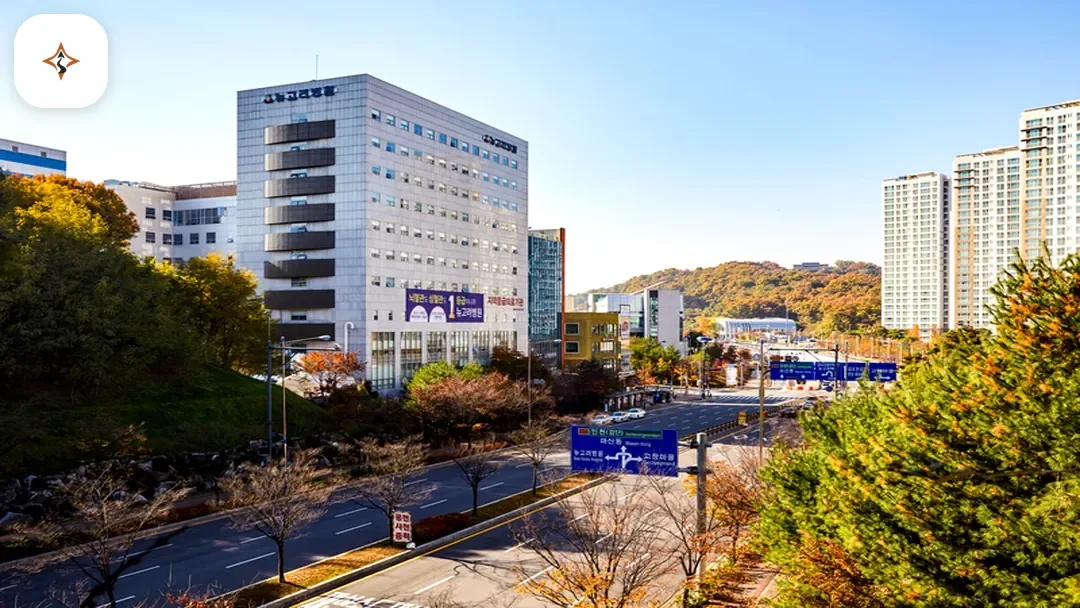 경기 김포시 뉴고려병원장례식장 미리 보는 모습