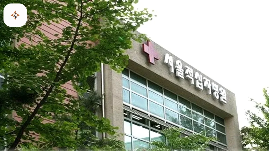 서울 종로구 서울적십자병원장례식장 미리 보는 모습